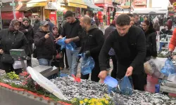 Edirne’de Hamsi Bolluğu: Kilosu 100 Liraya Düştü