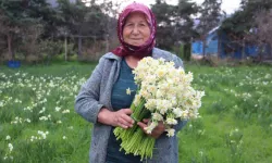 Karaburun’u Nergis Kokusu Sardı