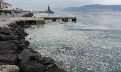 Müsilaj Çanakkale Boğazı’nı Kaplamaya Başladı