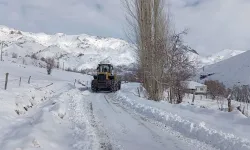 Şırnak’ta Kapalı Köy Yolları Ulaşıma Açıldı