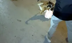 Zehir Taciri Eta’dan Kaçamadı