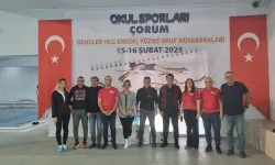 Gençler Kız-Erkek Yüzme Grup Müsabakaları