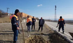 Kavşaktaki Işıklar Güneş Enerjisiyle Çalışacak