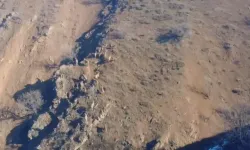 Dağ Keçileri Sürü Halinde Görüntülendi