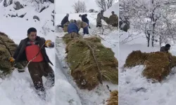 Derecik’te Çiftçilerin Güçlü Kış Mesaisi: 3 Bin Rakımdan Otları Kızaklarla İndirdiler