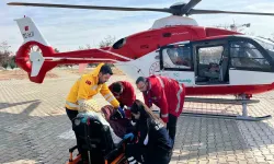 Gebe Bayan Ambulans Helikopter ile Van’a Getirildi