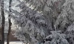 Göle’de Hava Eksi 27,7 Derece: Araçlar Soğuktan Çalışmadı