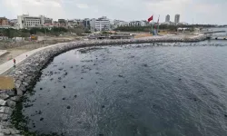 İskenderun Körfezi’nde Denizde Çekilme Yaşandı