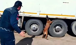 Kargo Aracında 1 Tonun Üzerinde Kaçak Tütün ve Yüzlerce Paket Sigara Ele Geçirildi