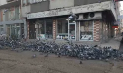 Kars’ta Hassas Vatandaş Yüzlerce Güvercine Yem Veriyor