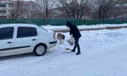 Şiddetli Kış Koşullarında Sokak Sokak Gezerek Hayvanları Besliyor