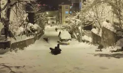 Sokağı Kızak Pistine Çeviren Çocuklar Doyasıya Eğlendi