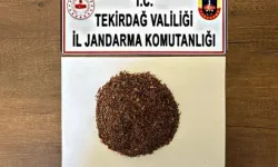 Tekirdağ’da Jandarmadan Uyuşturucu Operasyonu: Çok Sayıda Husus Ele Geçirildi