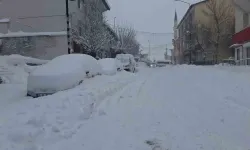 Tunceli’de Köy Yolları Kapandı, Okullar Tatil Edildi