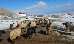 Türkiye’nin En Yüksek Rakımlı Köyü Kışkılı, Dron İmgeleriyle Hayran Bıraktı