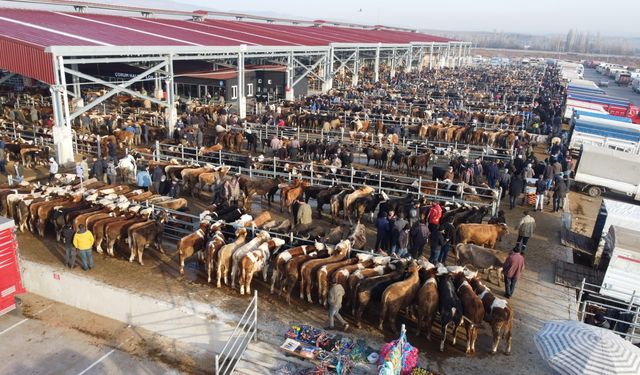 Çorum’da Kapatılan Hayvan Pazarları İçin Yeni Karar