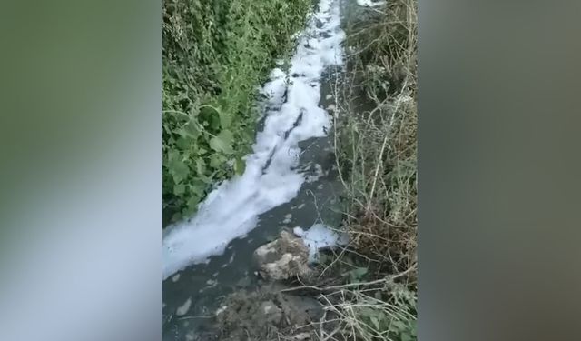 ‘Bu Görüntüler İçimizi Acıtıyor, Derinçay'ı Kurtarın’