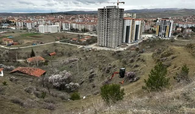 Lavanta Tepesi Projesi Hayata Geçiyor