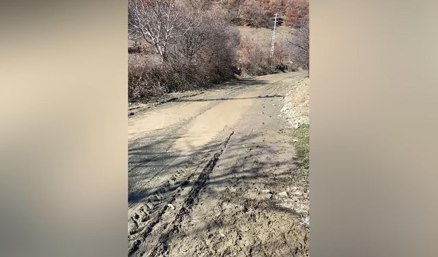 ‘Tarhankozlu ve Sazdeğirmeni Köy Yolu Asfalt Bekliyor’