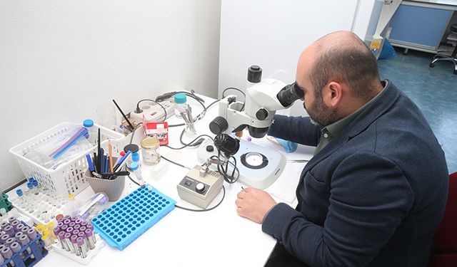 30 Bini Aşkın Kene Bilimsel Çalışmalar İçin Saklanıyor