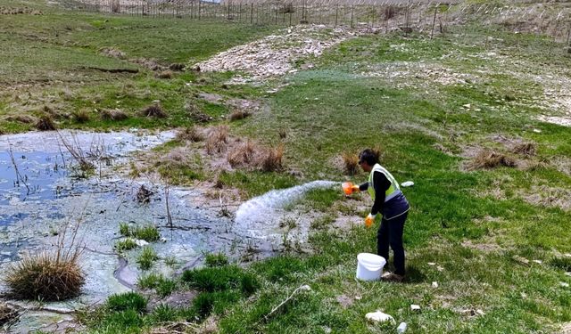Bayburt'ta karasinek ve sivrisinekle mücadeleye başlandı