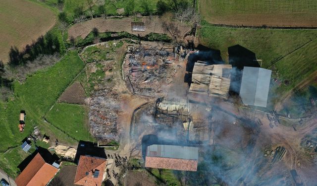 Kastamonu'da çıkan yangında 3 ev ile 3 ahır zarar gördü