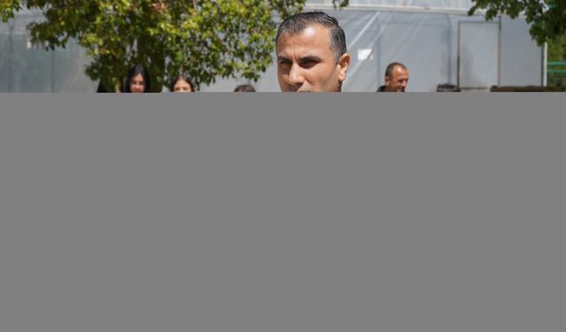 Osmancık'ta okul bahçesine kurulan serada kuşkonmaz yetiştirilecek