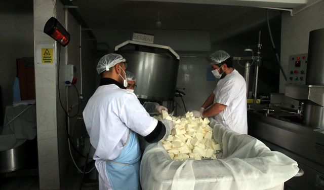 Tokat'ta beldeye kurulan süt işleme tesisi çiftçiye pazar oldu