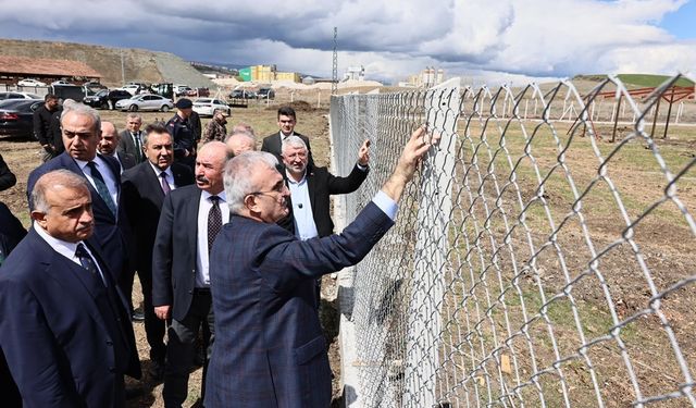 Karaloğlu: Çorum, Sokak Hayvanları Konusunda Şanslı