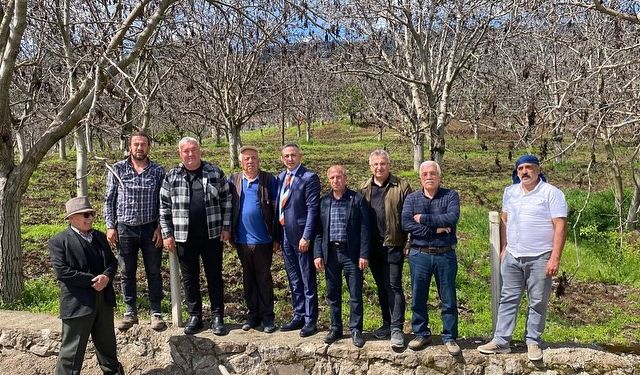 Oğuzlar'da Ceviz Ağaçlarını Don Vurdu