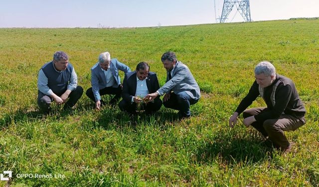 ‘Son 30 Yılın En Büyük Zirai Don Olayı’