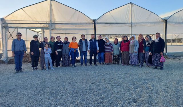 Kargı’da Seracılığı Yaygınlaştırma Planı