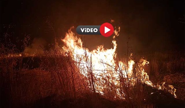 Alaca’da Altı Ayrı Noktada Yangın