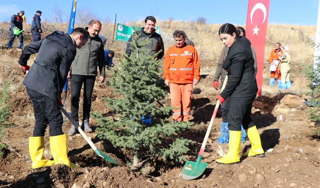 Boğazkale'de Fidanlar Toprakla Buluşturuldu