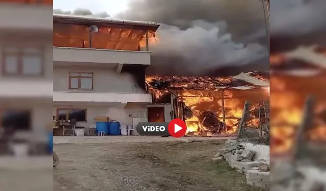 Evde Çıkan Yangın Böyle Görüntülendi