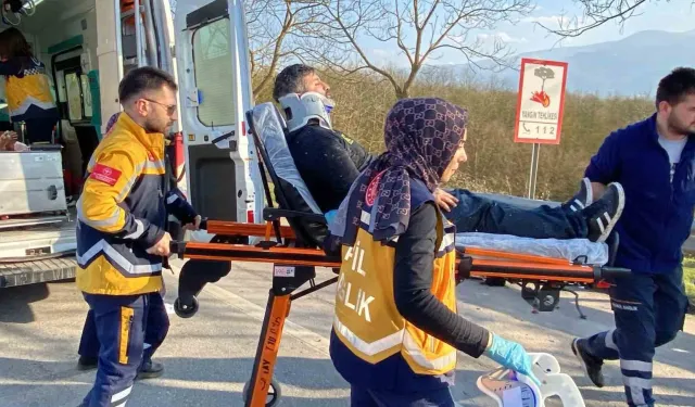 Kaza Yapan Aracın Modülleri Ağaçta Asılı Kaldı: 1’i Bebek 4 Yaralı