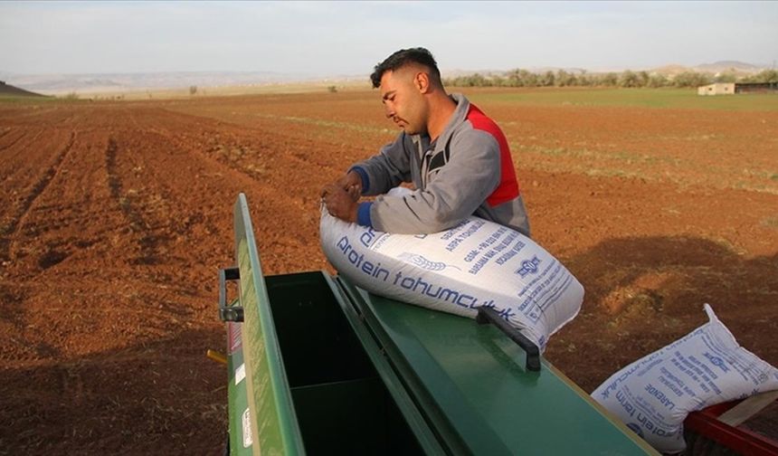Çorum’da Çiftçilere Yüzde 50 Hibeli Tohum Desteği
