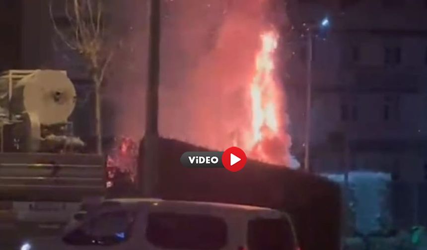 Magandalar Torpil Attı, Ağaçlar Alev Aldı