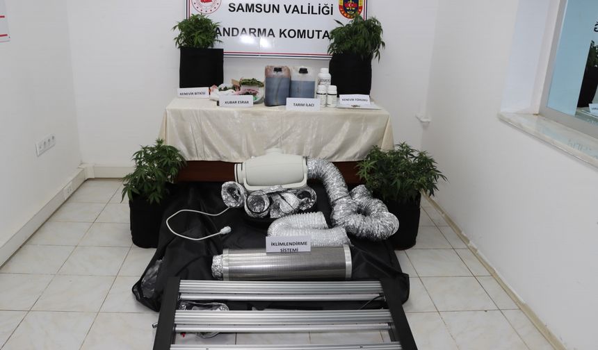 Samsun'da evinde iklimlendirme sistemiyle kenevir yetiştiren şüpheli yakalandı