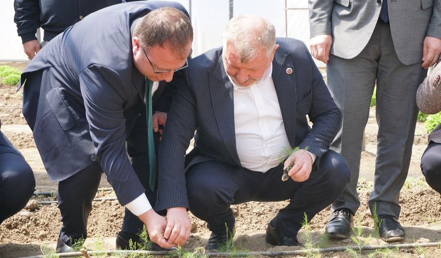 Gelgör, Sera Projesi Hakkında Konuştu