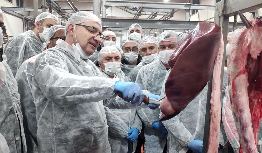 Halk Et, Veteriner Hekimleri Buluşturdu