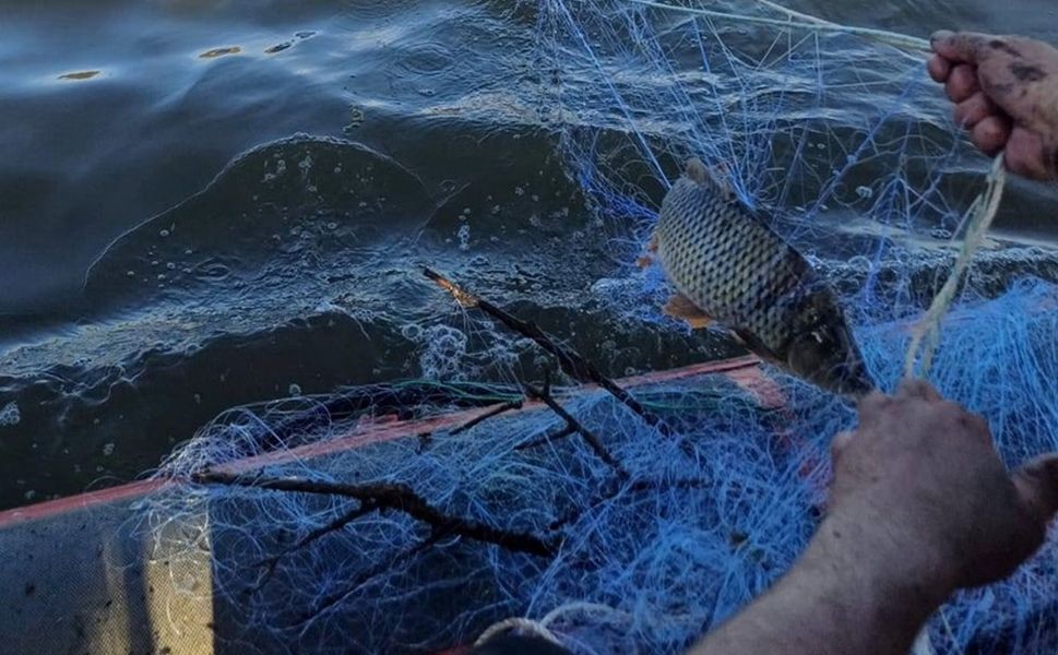 Çorum’da Kaçak Ağa 300 Kilogram Balık Takıldı