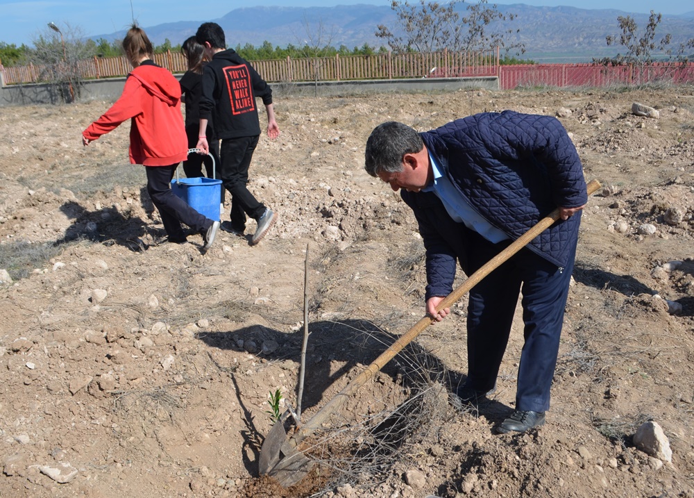 Çorum Örnek Oldu, Atıl Okul Bahçeleri Meyve Bahçesine Dönüşüyor (4)