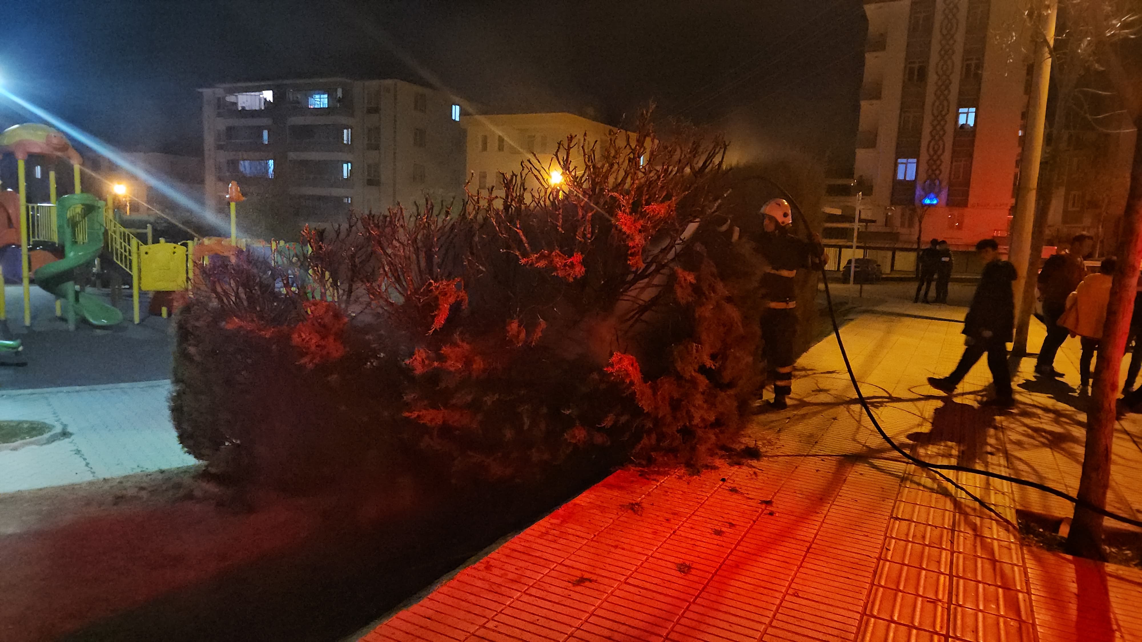 Magandalar Torpil Attı, Ağaçlar Alev Aldı (4)