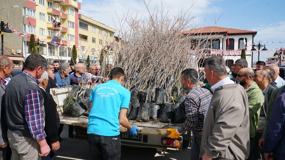 Osmancık Belediyesi Ücretsiz Fidan Dağıttı (4)