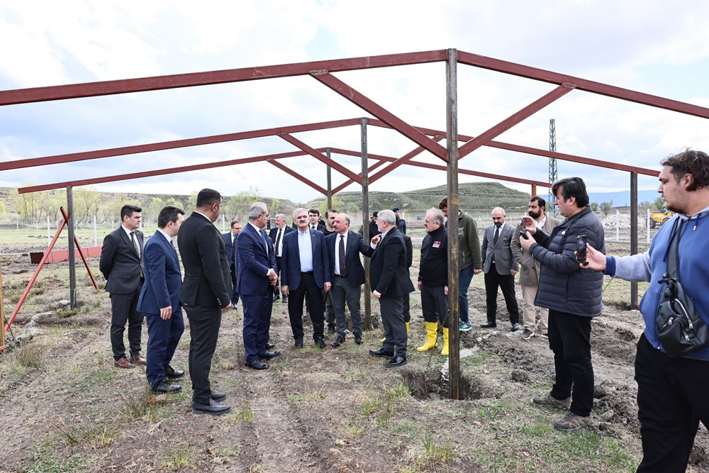 Karaloğlu Çorum, Sokak Hayvanları Konusunda Şanslı (1)